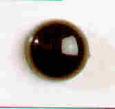 Sicherheitsaugen