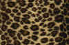 Leopard Kurzflor
