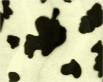 Fell kurzflor Leopard CE