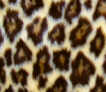 Kunstfell 10 mm Flor Leopard 1 ca. 150 cm 