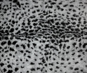 Kunstpelz 15 mm Flor Katze, Leopard grau ca. 150 cm breit 