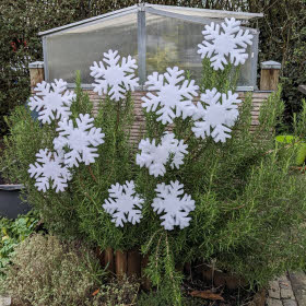 Dekoration im Garten von Büschen und Tannenbäumen