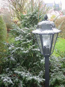 Tannebaum außen