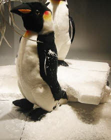 Schaufensterdeko mit Pinguinen