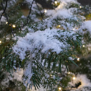 Bioschnee aus Stärke