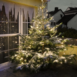 Weihnachtsbaum Deko mit Bioschnee