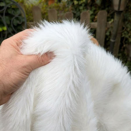 Fellimitat hier die Farbe weiß Eisbär