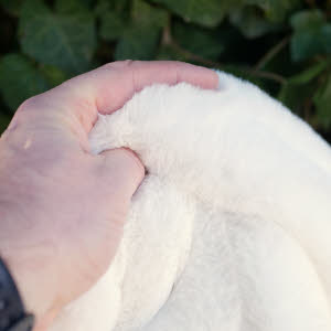 Farbe gedecktes weiß (eierschale). Supersoft