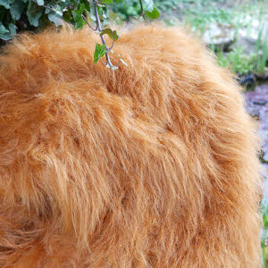 Fuchsfell, Fuchs, Fuchsschwanz