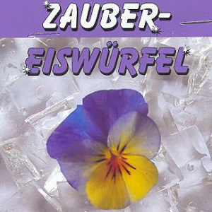 Zaubereiswürfel